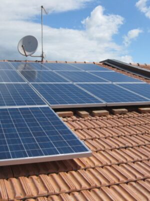 FV-Carlino-Carla-1024x768