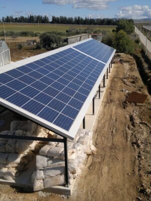 FV-Mandorlo-Doro-1-1024x768